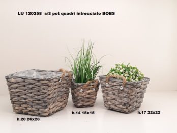 G01T-linea basket BOBS